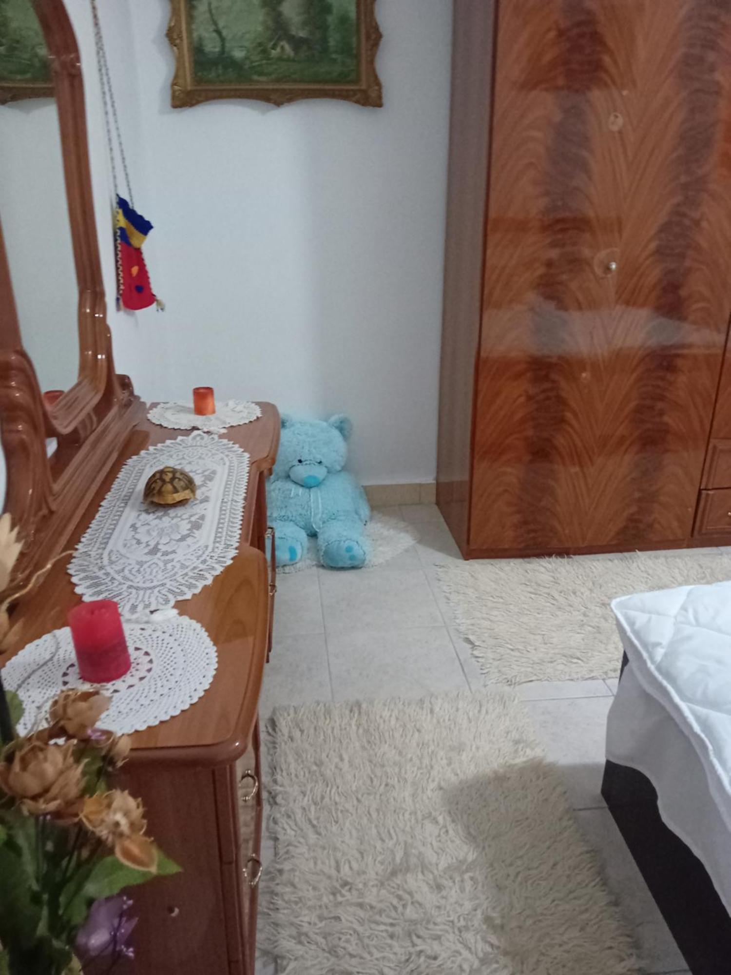 Olivia Guesthouse Gjirokastër Екстериор снимка